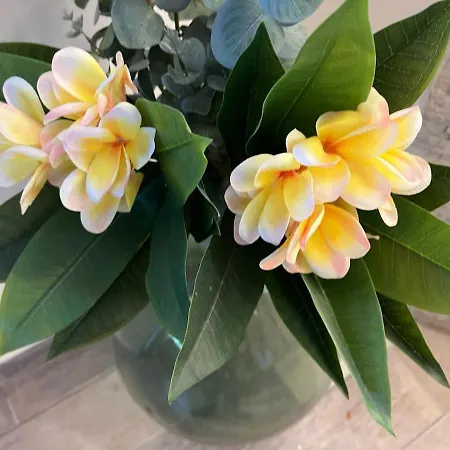 Plumeria Place Bright And Spacious 別荘 ラルナカ