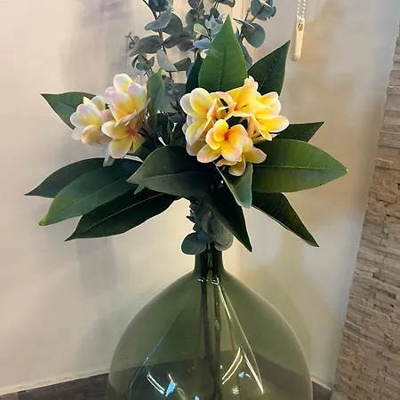 Plumeria Place Bright And Spacious ラルナカ