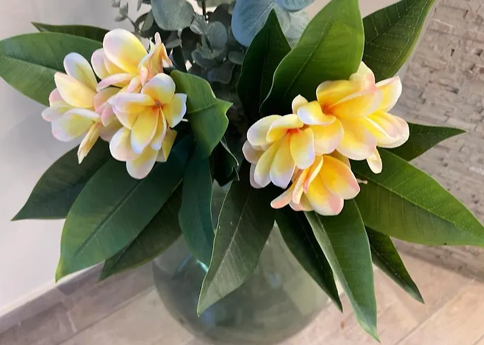 Plumeria Place Bright And Spacious Dom wakacyjny Larnaca